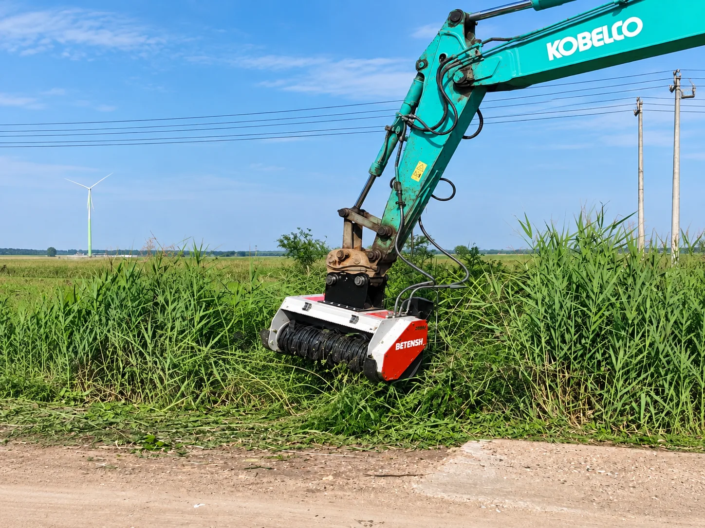 Forest Mulcher working in dense roadside vegetation
